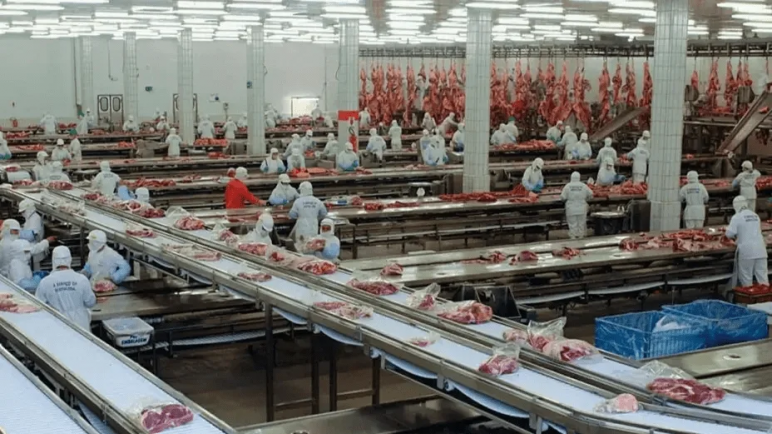 El creador de Paty enfrenta una deuda de $30.000 millones y suspendió a 450 trabajadores