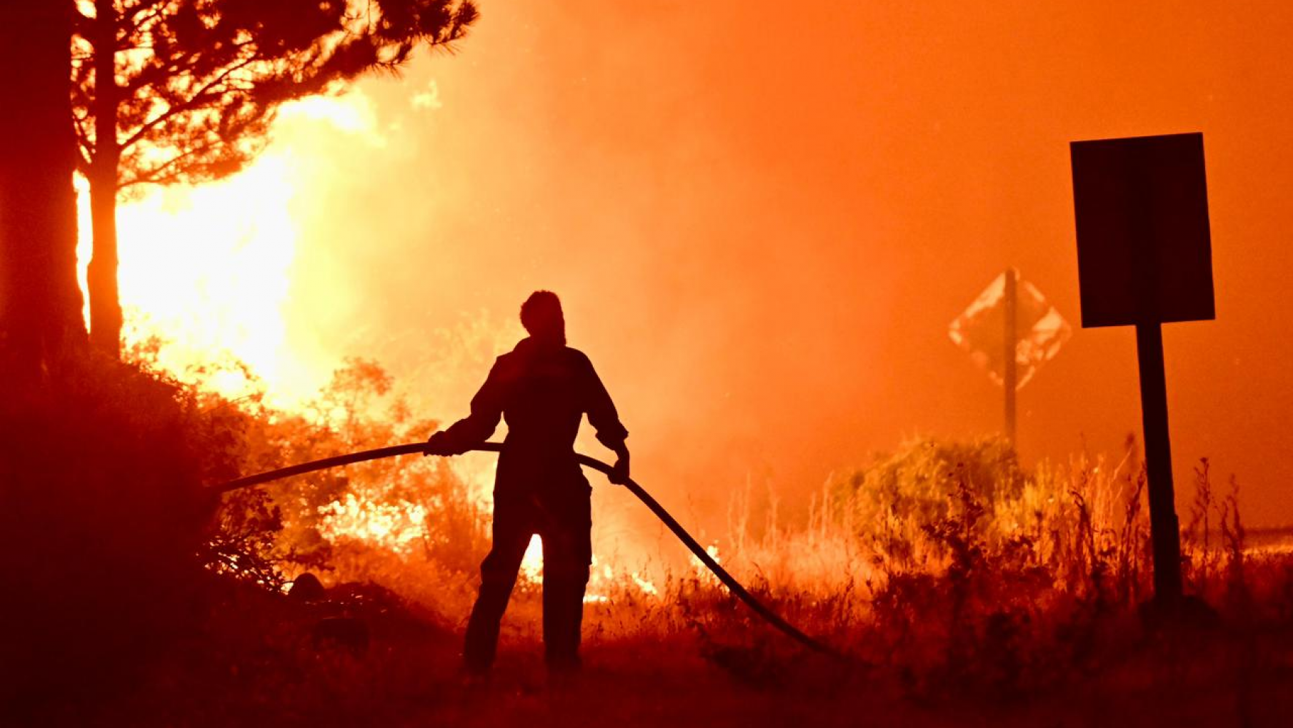 Tres decisiones de Milei que profundizaron la crisis de incendios en la Patagonia