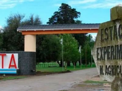 Ajuste en el INTA: el Gobierno avanza con más recortes de personal y evalúa vender tierras del organismo