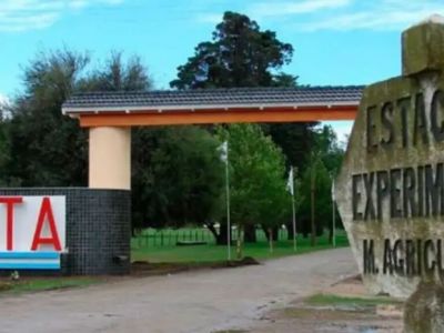 Ajuste en el INTA: el Gobierno avanza con más recortes de personal y evalúa vender tierras del organismo