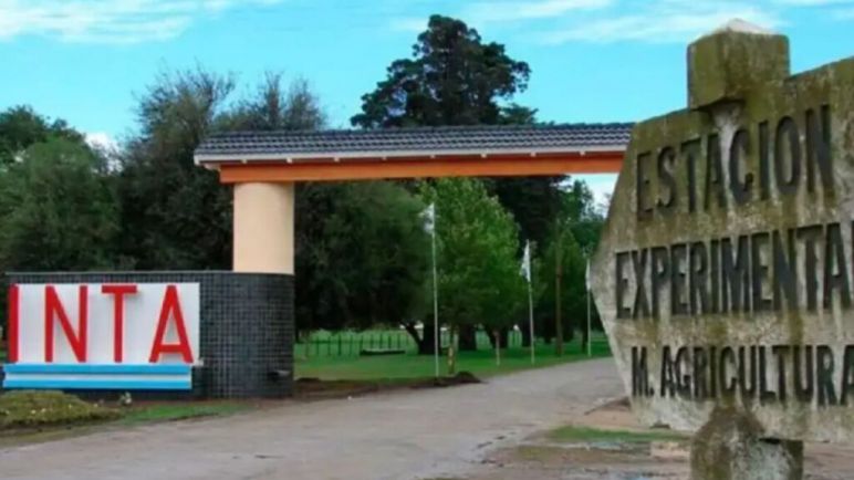 Ajuste en el INTA: el Gobierno avanza con más recortes de personal y evalúa vender tierras del organismo