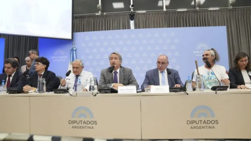 Clima cargado en Diputados: la audiencia por la Ley de Glaciares se desarrolla entre cruces y fuertes posturas