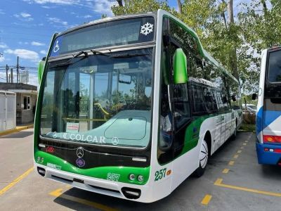 Paro de colectivos: qué líneas no funcionan este viernes 8 de mayo