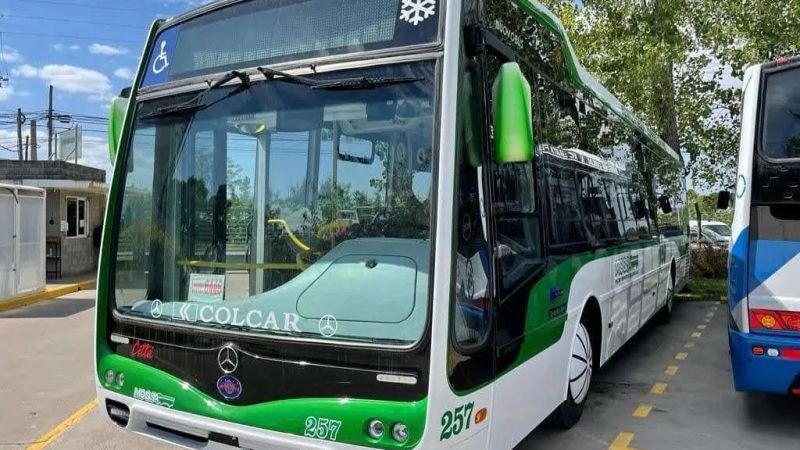 Paro de colectivos: qué líneas no funcionan este viernes 8 de mayo
